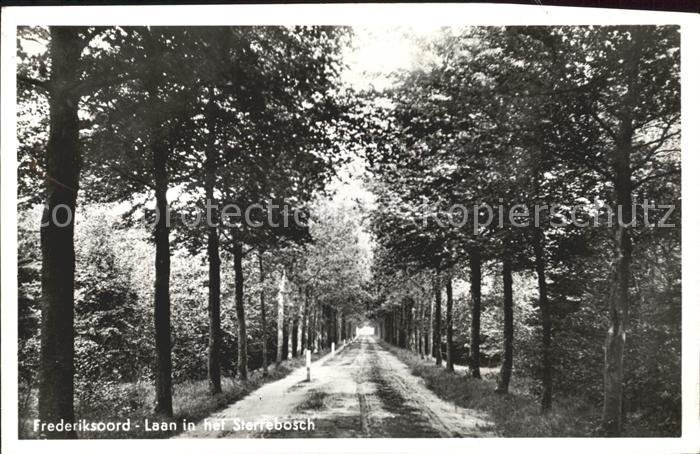 Frederiksoord Laan in het Sterrebosch