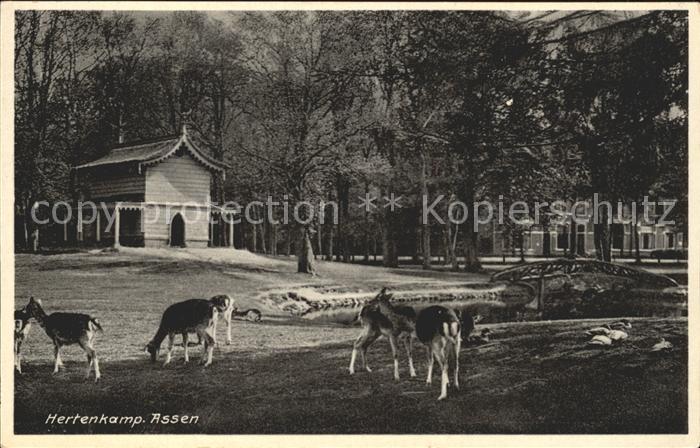 Assen Hertenkamp Wildgehege
