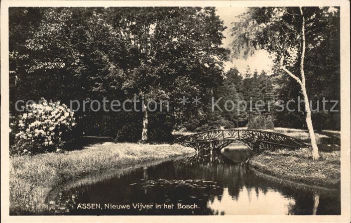 Assen Nieuwe Vijver in het Bosch