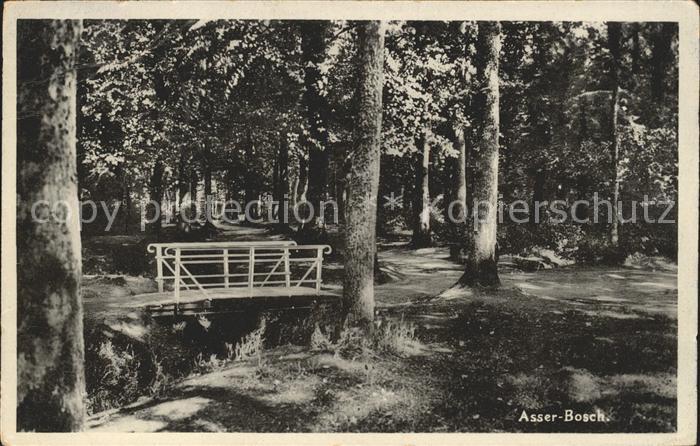 Assen Bosch Waldpartie Holzbruecke