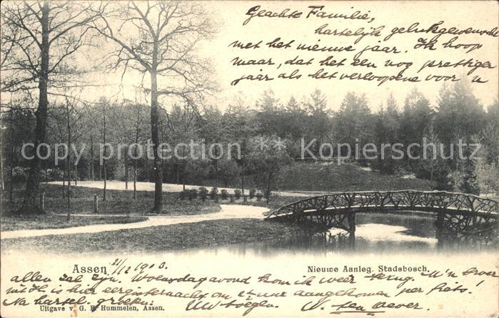 Assen Nieuwe Aanleg Stadsbosch Bruecke