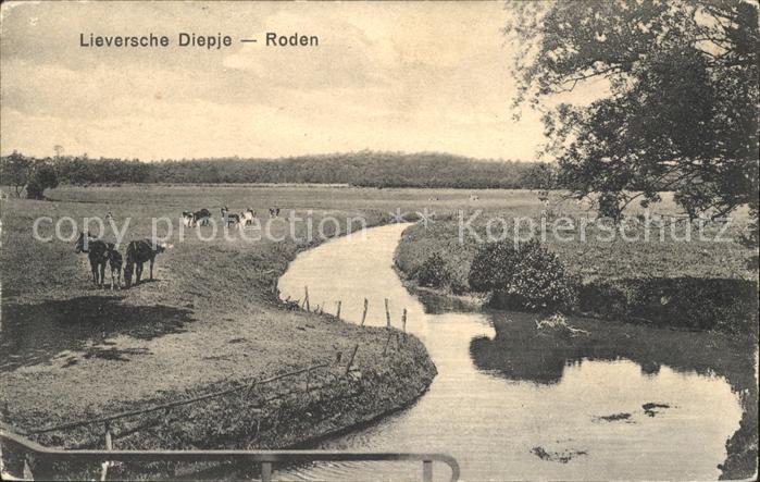 Roden Netherlands Lieversche Diepje Viehweide Bachlauf