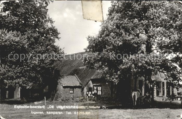 Uffelte Expositie boerderij De Uelenspieghel Logeren Kamperen