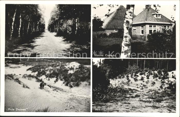 Zorgvlied Kampeerhoeve Canada Duinen Bos