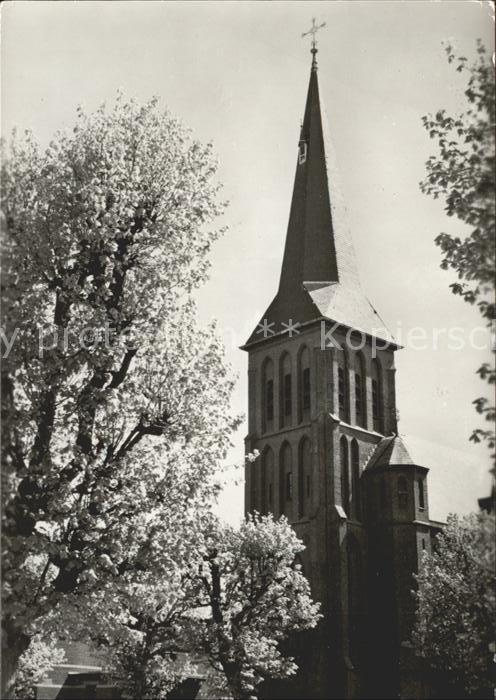 Balk Kerk Kirche Baumbluete