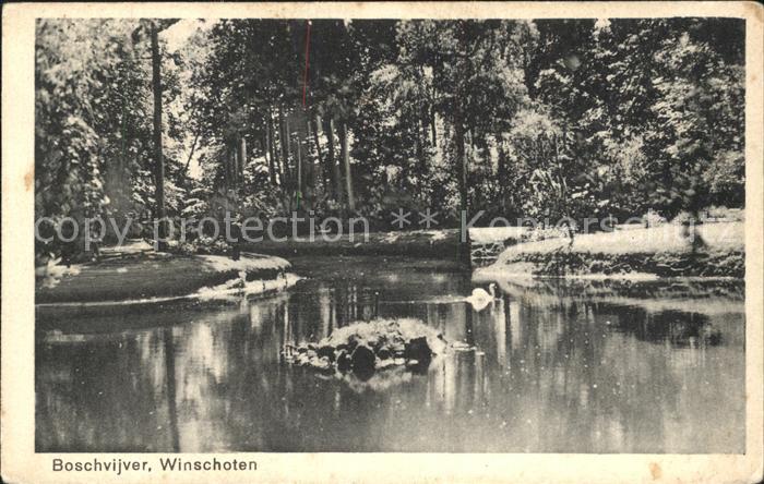 Winschoten Boschvijver Weiher