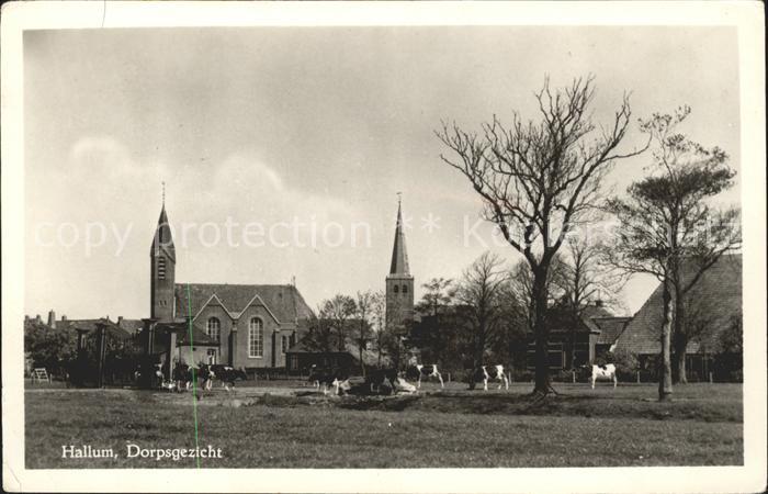 Hallum Dorpsgezicht met Kerk Kirche Kuehe