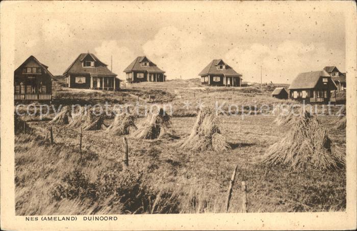 Nes Ameland Duinoord