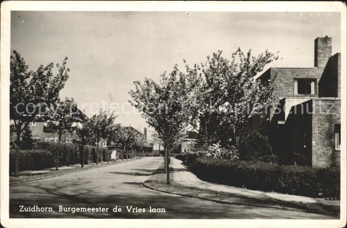 Zuidhorn Burgemeester de Vries laan