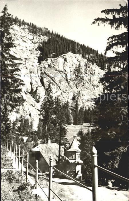 Lacu Rosu Teilansicht