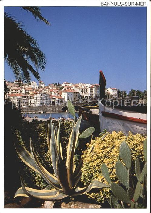 Banyuls-sur-Mer Vegetation mediterraneenne sur le front de mer