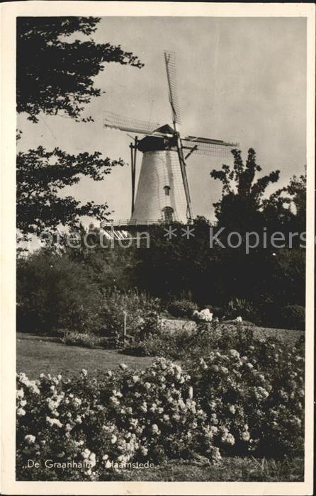 Haamstede De Graanhalm Molen Windmuehle