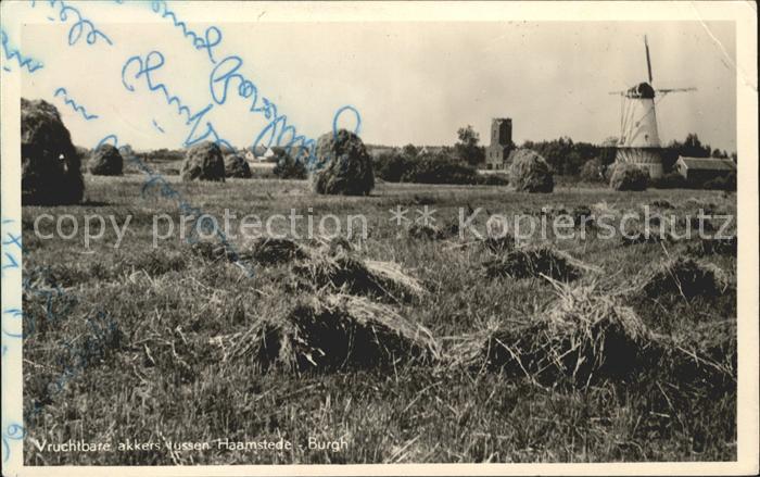 Haamstede Vruchtbare akkers Molen Landwirtschaft Muehle