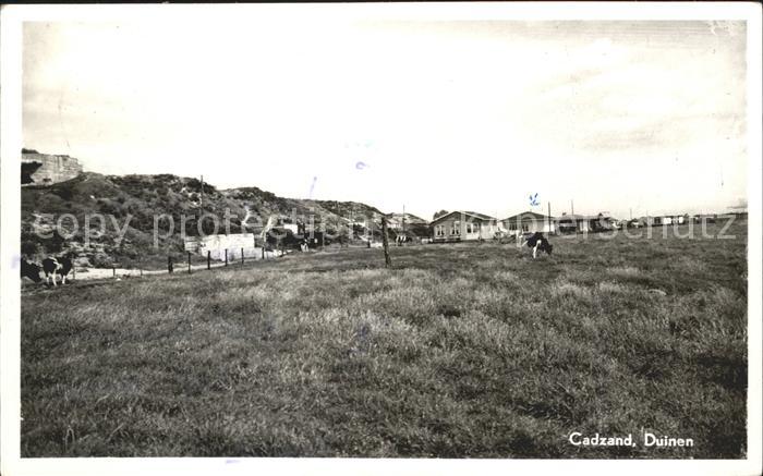 Cadzand Zeeland Duinen Duenen