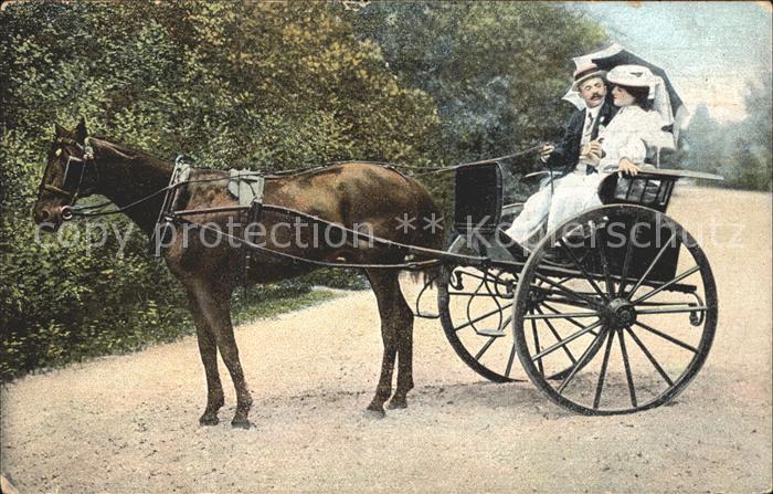Middelburg Zeeland Pferdekutsche