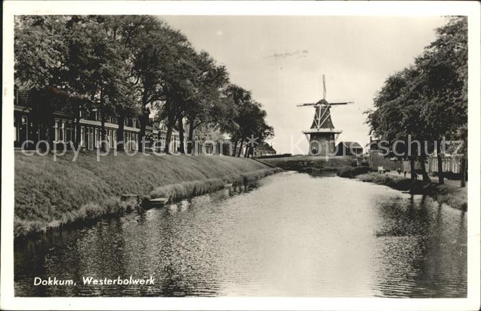 Dokkum Westerbolwerk Molen Windmuehle