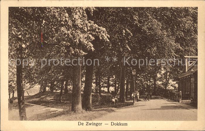 Dokkum De Zwinger