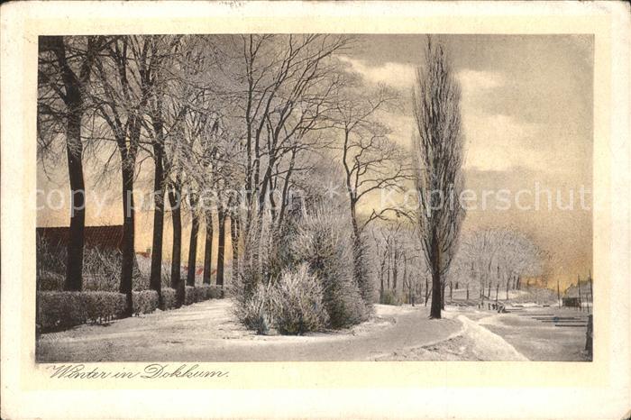 Dokkum Winterpanorama