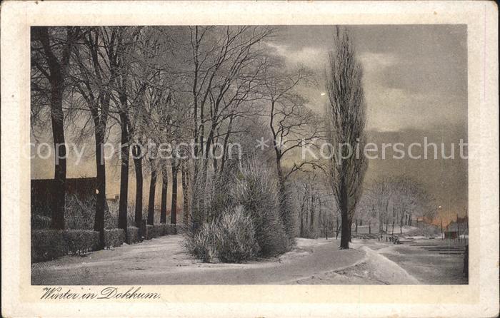 Dokkum Winterpanorama