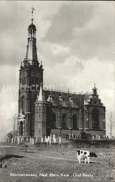 Beetsterzwaag Ned Herv Kerk Oud Beets Kirche Friedhof Kuh