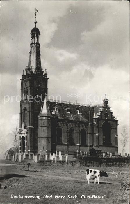 Beetsterzwaag Ned Herv Kerk Oud Beets Kirche Friedhof Kuh