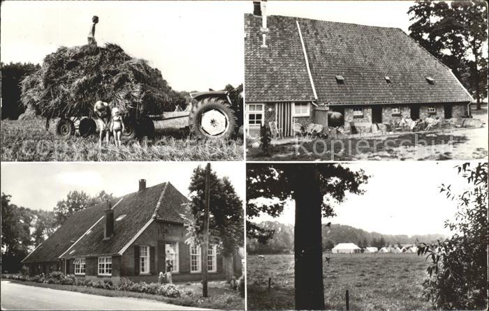 Lochem Kampeerboerderij Erve Harkink Landwirts
