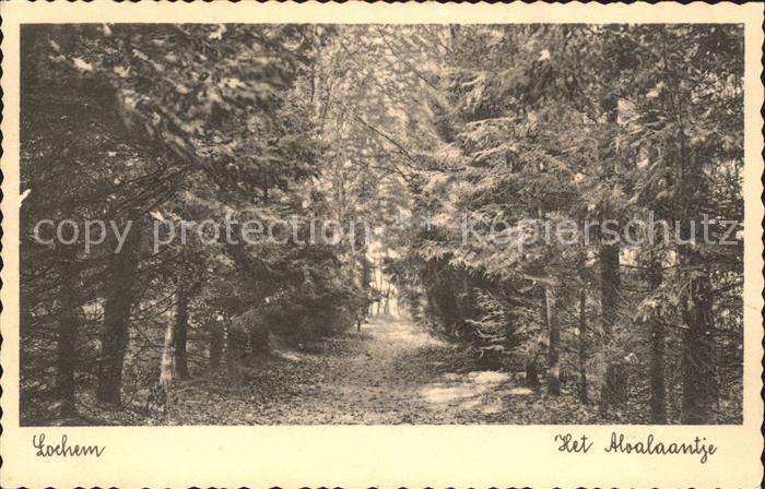Lochem Aloalaantje Waldpartie