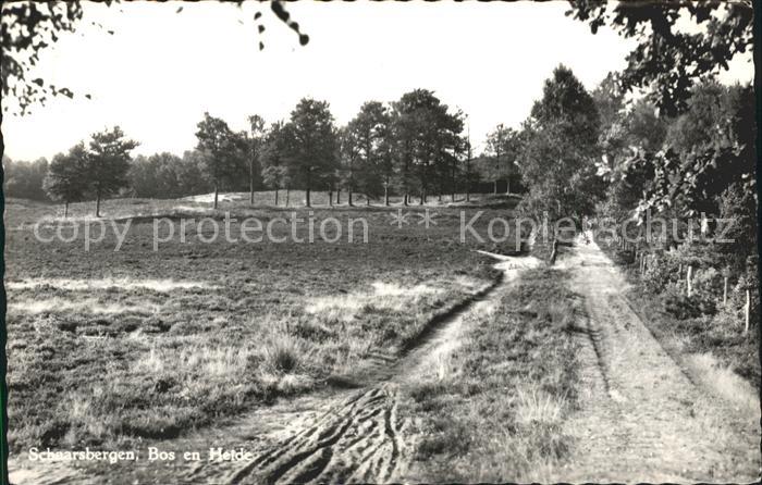 Schaarsbergen Bos en Heide