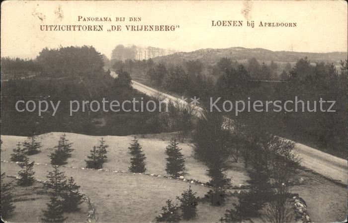 Loenen Panorama bij den Uitzichttoren De Vrijenberg