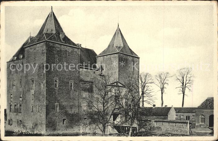 Zaltbommel Slot Loevestein Schloss