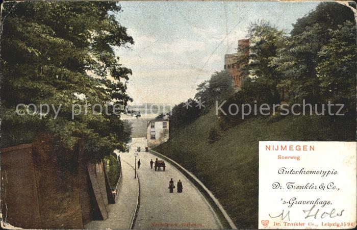 Nijmegen Soerweg Pferdekutsche