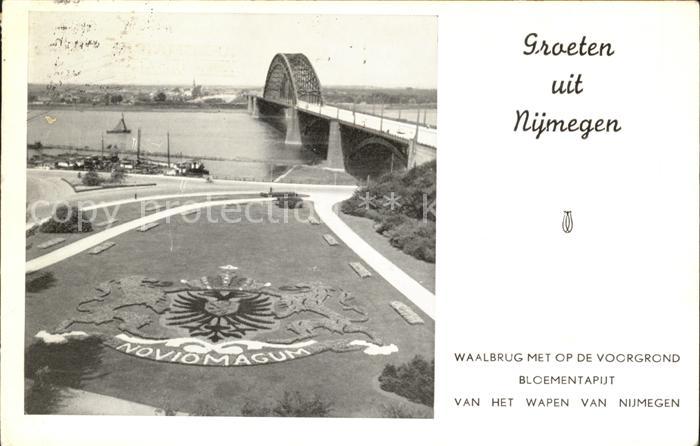 Nijmegen Waalbrug Voorgrond Blomentaput