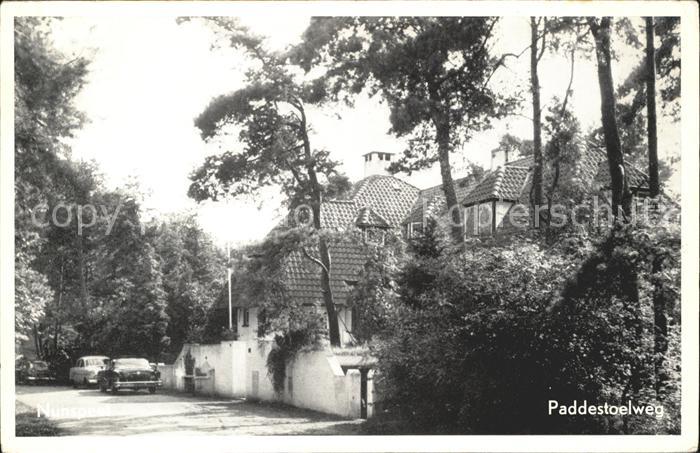 Nunspeet Paddestoelweg