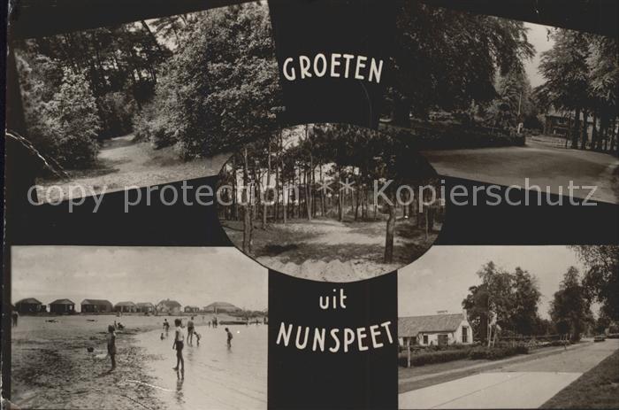 Nunspeet Strand Wald Strassenansicht