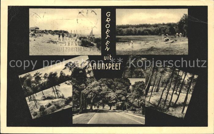 Nunspeet Strand Wald