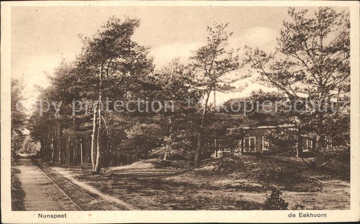 Nunspeet Eekhoorn