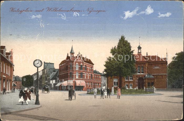 Nijmegen Hertogplein Wilhelminaboom