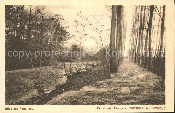 Nijmegen Allee Peupliers