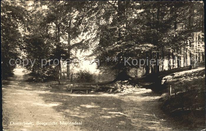 Oosterbeek Bosgezicht Mariendaal