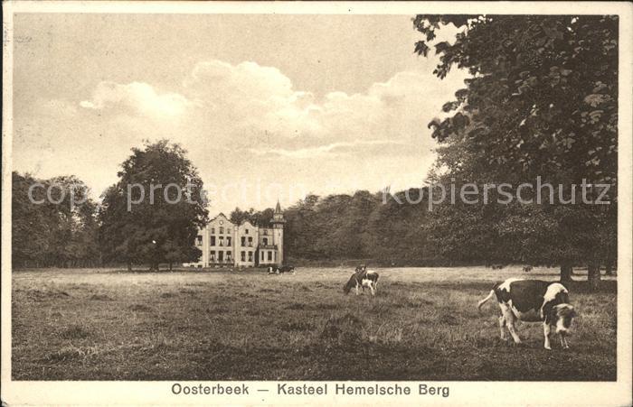 Oosterbeek Kasteel Hemelsche Berg Kuehe