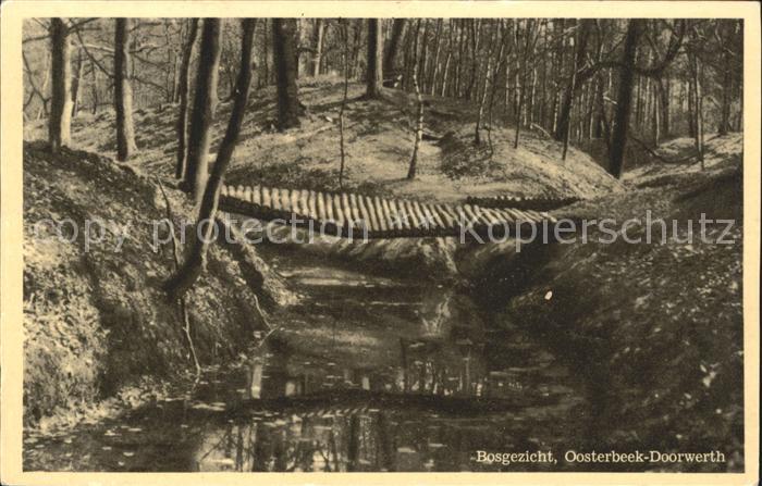 Oosterbeek Bosgezicht Doorwerth