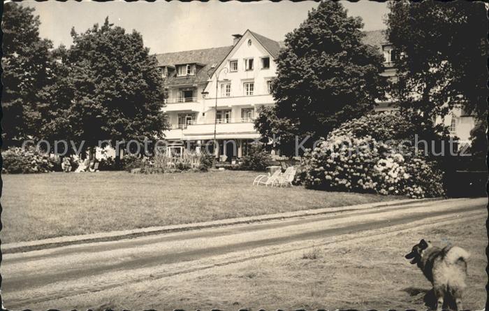 Arnhem Hotel De Bilderberg Hund