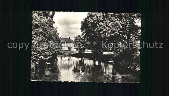 Wageningen Emmapark Schwaene