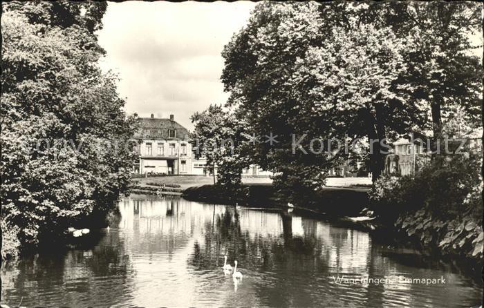 Wageningen Emmapark Schanenteich