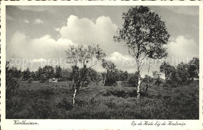 Voorthuizen Heide Houtsnip