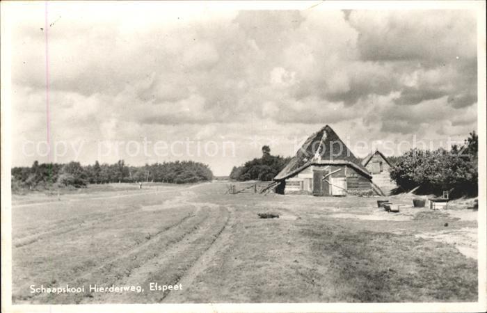 Elspeet Schapskooi Hierderweg