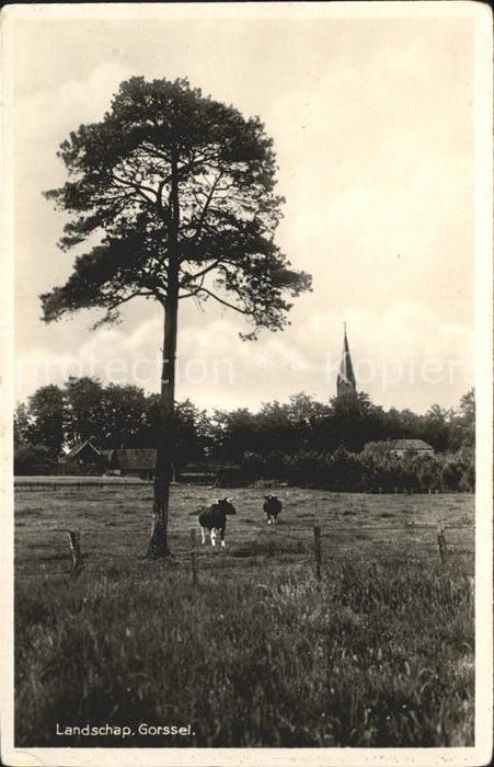 Gorssel Landschap Kuehe Kerk