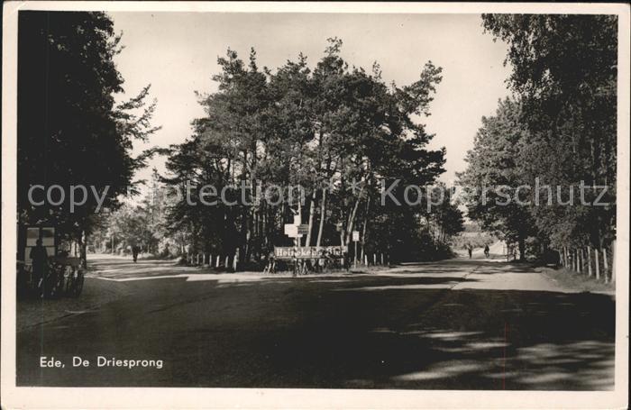 Ede Netherlands Driesprong