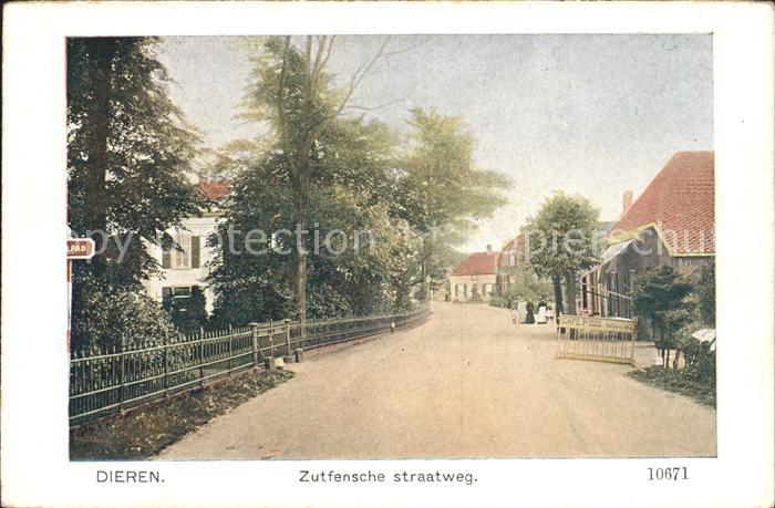 Dieren Zutfensche straatweg