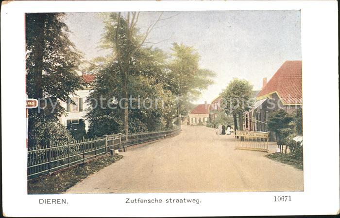 Dieren Zutfensche straatweg